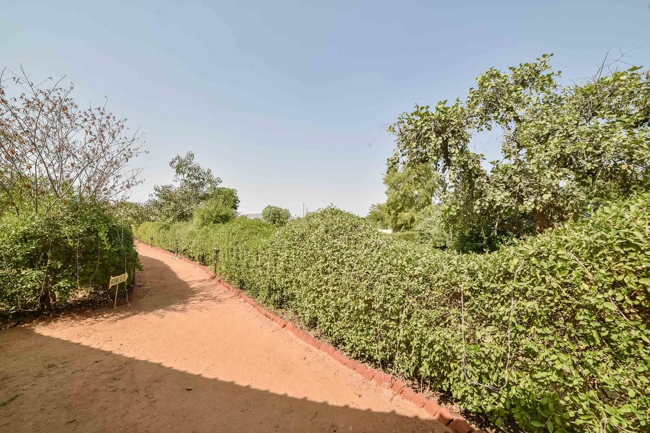 Pushkar Rajwara Resort Zewnętrze zdjęcie